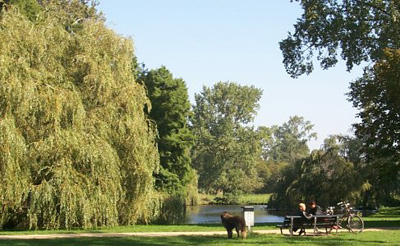 Vondelpark laghetto - Clicca sull'immagine per ingrandirla