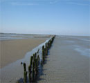 Spiaggia di Texel all'inbrunire, link qui per dimensioni reali