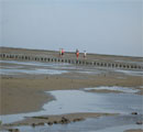 Passeggiata alla spiaggia del'Isola di Texel, link qui per dimensioni reali